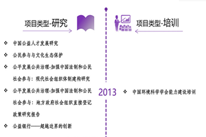 内射白虎老师非评估类项目发展历程